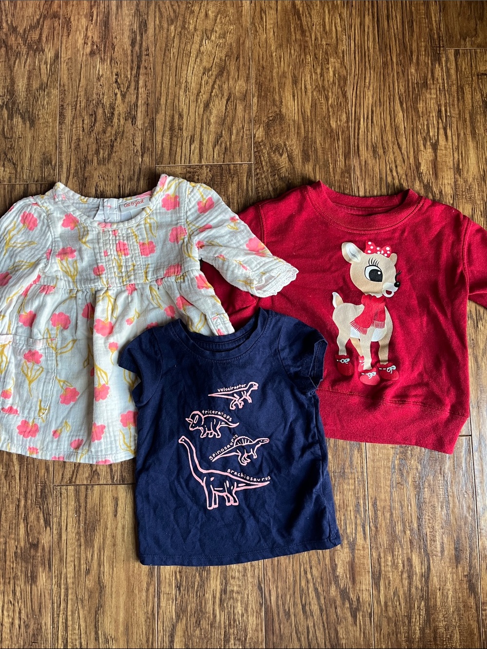 Cat & Jack Quilted Dress, Rudolph Sweatshirt and Dinosaur shirt